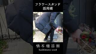フラワースタンド活用術！ #shorts
