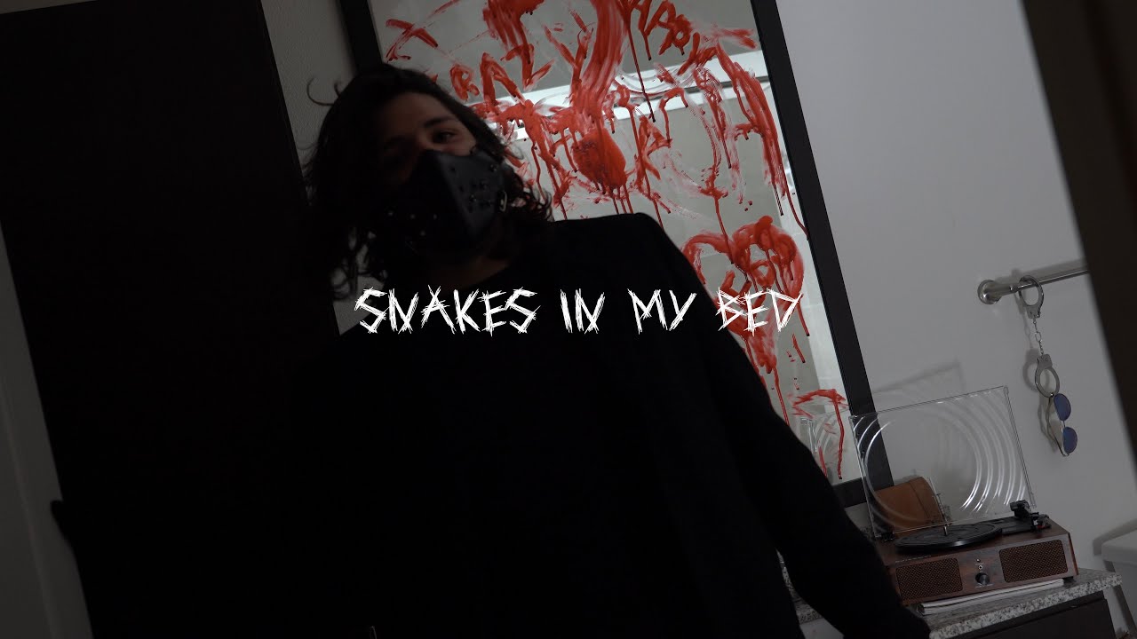 Snakes in My Bed (Official Lyric Video)