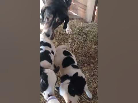 Контроль должен быть доскональный!))) - YouTube