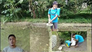 Mesin Pemupuk Padi - Auto Fertilizer Machine