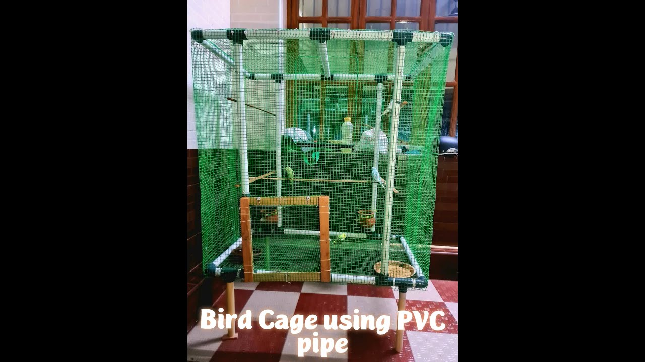 Cage Using Pvc Love Birds cage using PVC pipe - YouTube