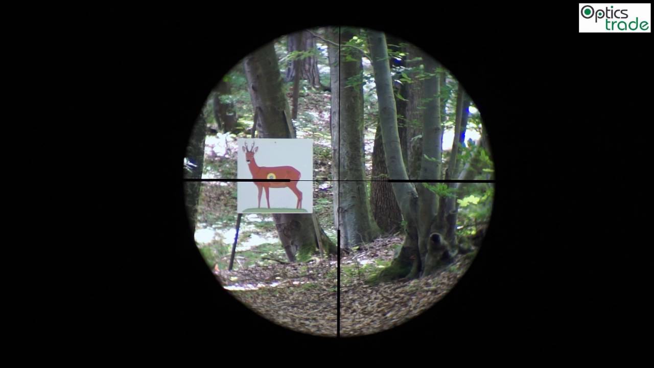 Delta Optical Titanium 2.5-10x56 HD reticle 4A subtensions