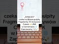 „RANCZO” fragmenty 14 motywów. Całość LINK w komentarzu 👉