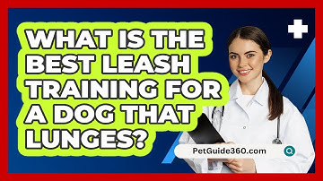 What Is The Best Leash Training For A Dog That Lunges? - PetGuide360.com