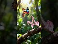 El insecto que es MÁS atractivo que una flor real 🌸🐍 #curiosidades #datoscurisos