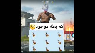 كم بطه موجود?؟؟ ببجي shorts