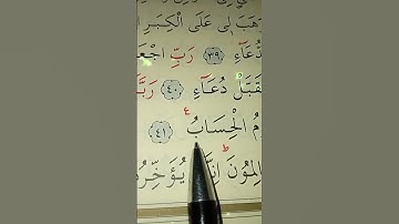 سورة ابراهيم الأية 39 إلى 42 القارئ سعد الغامدي #قرآن_كريم