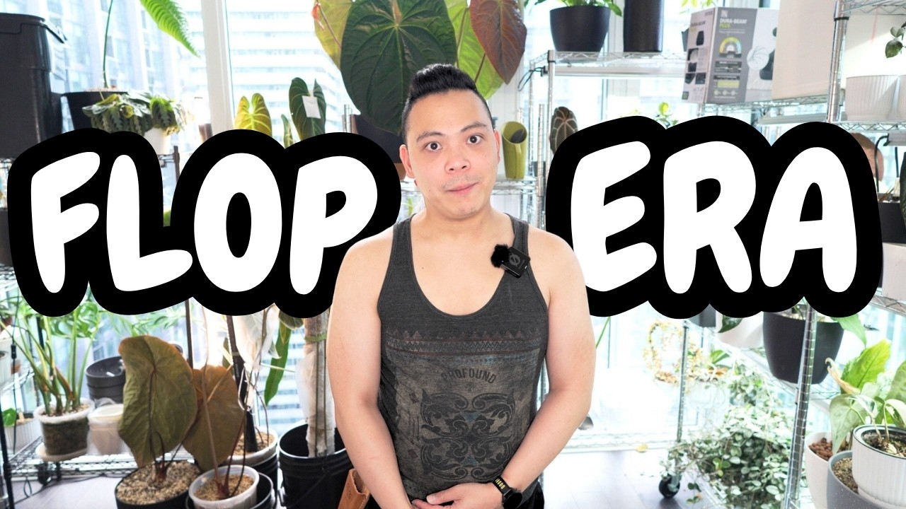 🥀 plants that need some help | i’m in my flop era 🥲 monstera, anthurium, hoya, maranta, orchid
