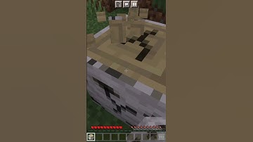 Minecraft but if you like the video then i teleported randomly