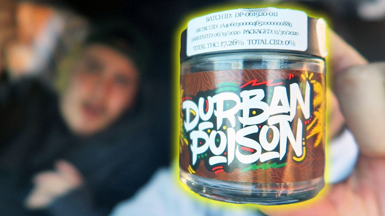 DURBAN POISON EXOTIC SESH!!!