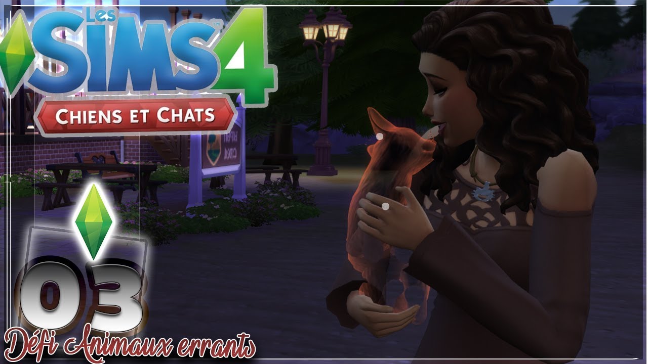 La Plage Animaux Fantômes 03 Défi Animaux Errants Sims 4 Chiens Chats