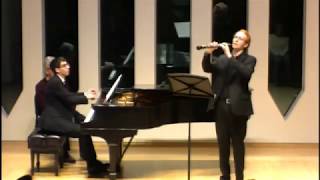 Britten Temporal Variations