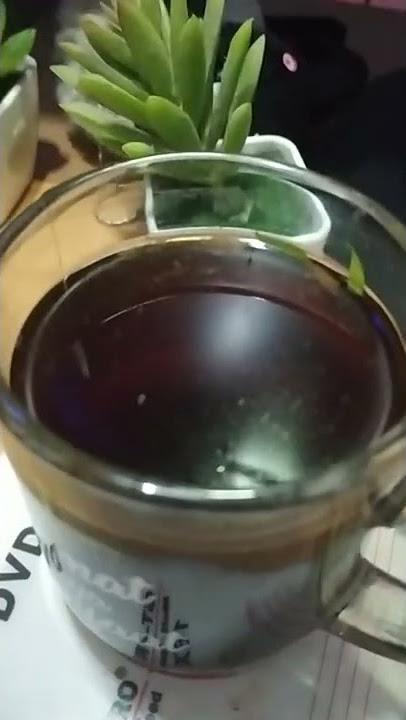 Story wa Ngopi, Jumat 11 Maret 2022