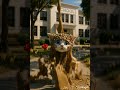 #CatSong #CuteCat #FunnyCats #ViralSong #CatLovers #Trending #teg #CatMusic #Shorts #ViralShorts💝