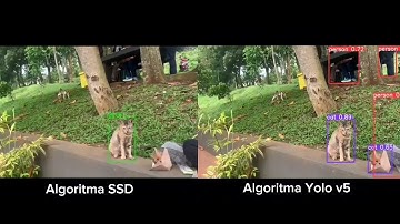 PEMROGRAMAN PYTHON: DETEKSI OBJECT KUCING PADA DANAU SDGS IPB MENGGUNAKAN ALGORITMA YOLOV5 & SSD