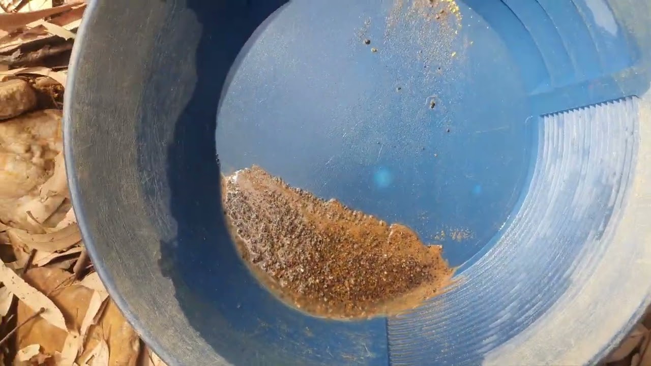 big gold haul ✨️ 💛 Paydirt Victoria