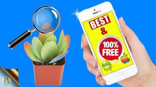 Top 3 what is the best free plant identification app best you should know
