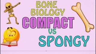 Bone Biology: COMPACT BONE VS SPONGY BONE - EASY FAST REVIEW!!