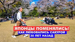 Японцы Поменялись! Как Японцы собираются на Сакуру 2024?