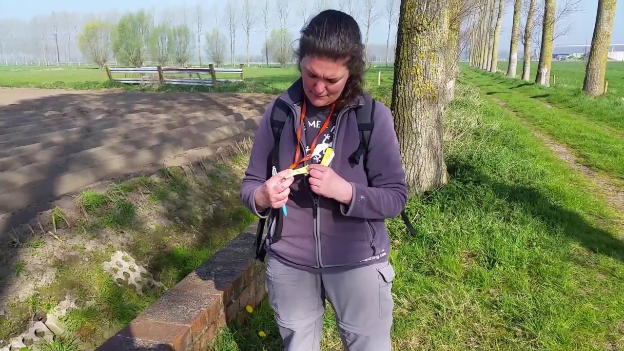 MICRObe geocache