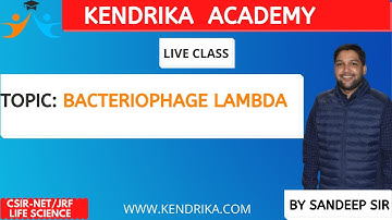 Bacteriophage lambda