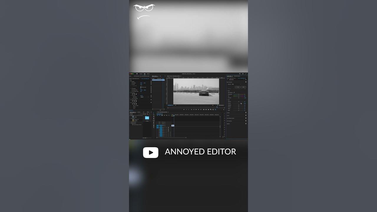 how to make video BLACK and WHITE Premiere pro (2023) YouTube