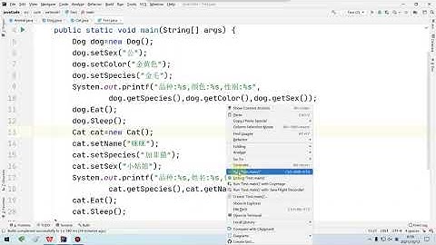 Java基础 面向对象之继承