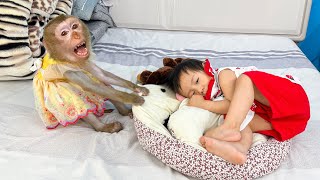 Monkey Kaka reclaims her favorite bed that was taken away by Diem