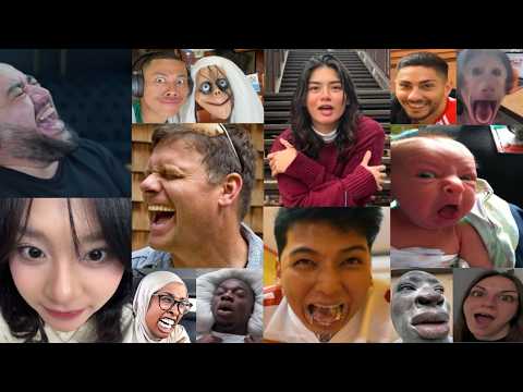 Try Not to Laugh Challenge |🤣😂😂 You Laugh, You Lose! #memes #funnymemes #funny