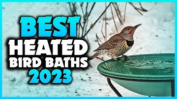 Top 5 Best Heated Bird Baths You can Buy Right Now [2024]