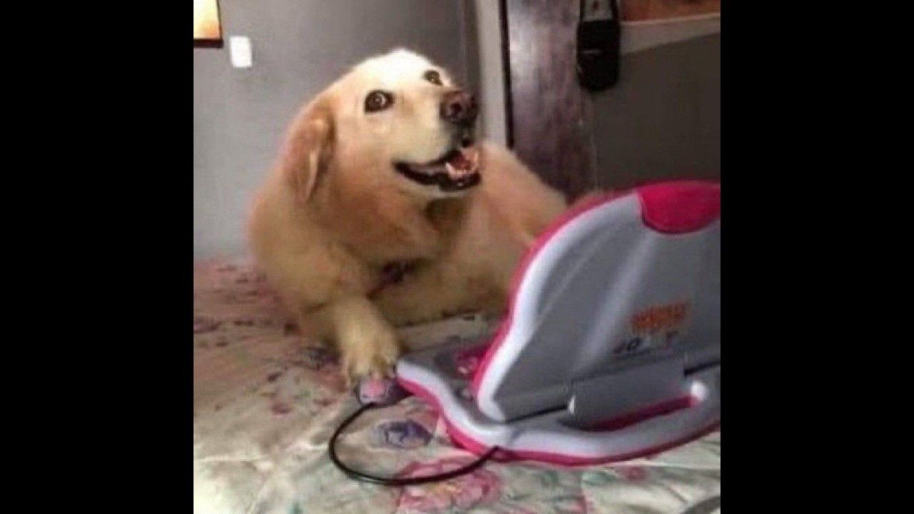 ¡Hola chicos! Solo quiero hablar un rato 😊