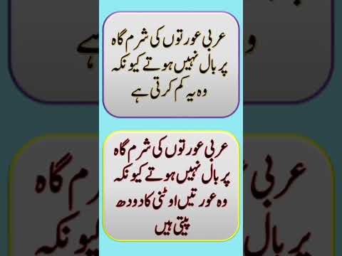 عربی عورتوں کی شرمگاہ پر بال نہیں ہوتے کیونکہ وہ یہ کام کرتی ہیں