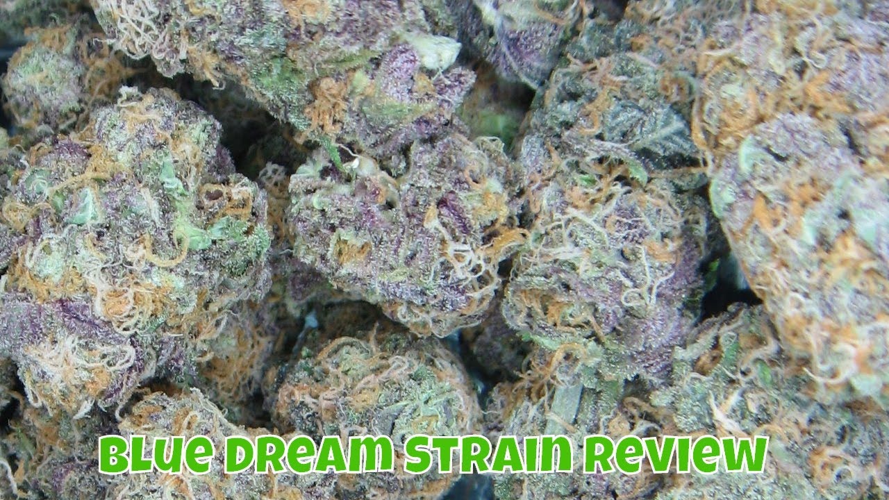 Weed Review Blue Dream strain review YouTube
