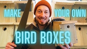 Building Bird Boxes for Conservation