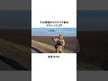 戦場で敵に最後の一服を求めた兵士#雑学 #shorts