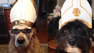 En Çılgın 10 Katolik Papaz Köpeği