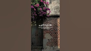 سورة المائـدة || القارئ محمد الغـزالي .