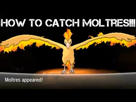 Keithbowenrp S Diary - roblox catching the best pokemon ever charizard roblox