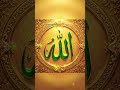 Jab Allah aap ko mazbut krna chahty hain must ☝️🕋❤️#shorts #viralvideo #tubashaikhshehzadi #allah