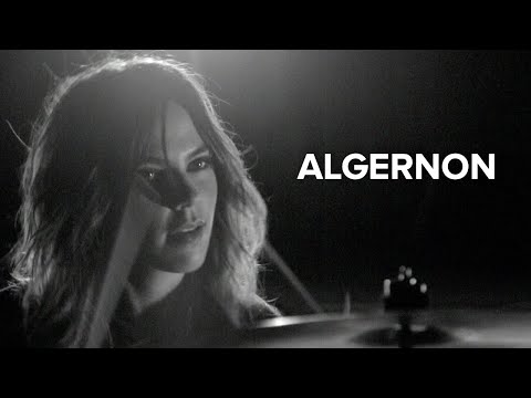 Algernon Video