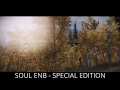 Skyrim SE Mods - SOUL ENB SSE