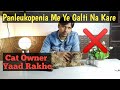 Feline Panleukopenia virus mai Ye Galti Na Kare,Reason And Care Of Panleukopenia,vaccination is must