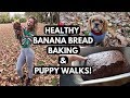 HEALTHY BANANA BREAD RECIPE & My Puppys First Walk | VLOG