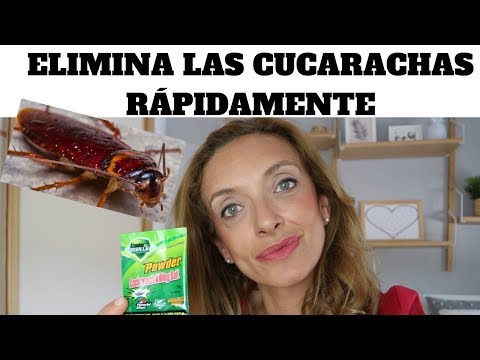 Video: Ácido bórico de cucarachas: reseñas, recetas