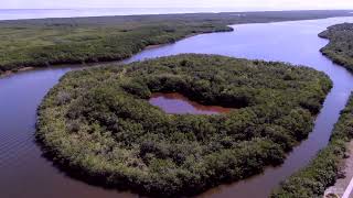 Aerial View of South Gulf Cove in Florida 4K