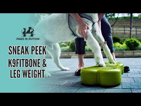 Sneak Peek - K9FITbone and leg weight (物理治療小點滴- K9FITbone及負重沙包)
