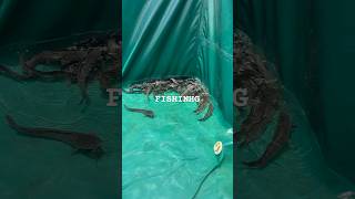 The Game Is On.. Dont Be Late