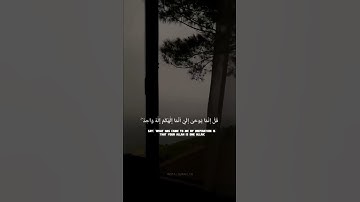 وَمَا أَرْسَلْنَاكَ إِلَّا رَحْمَةً لِلْعَالَمِينَ | القارئ إسلام صبحي | حالات واتس اب دينية #quran