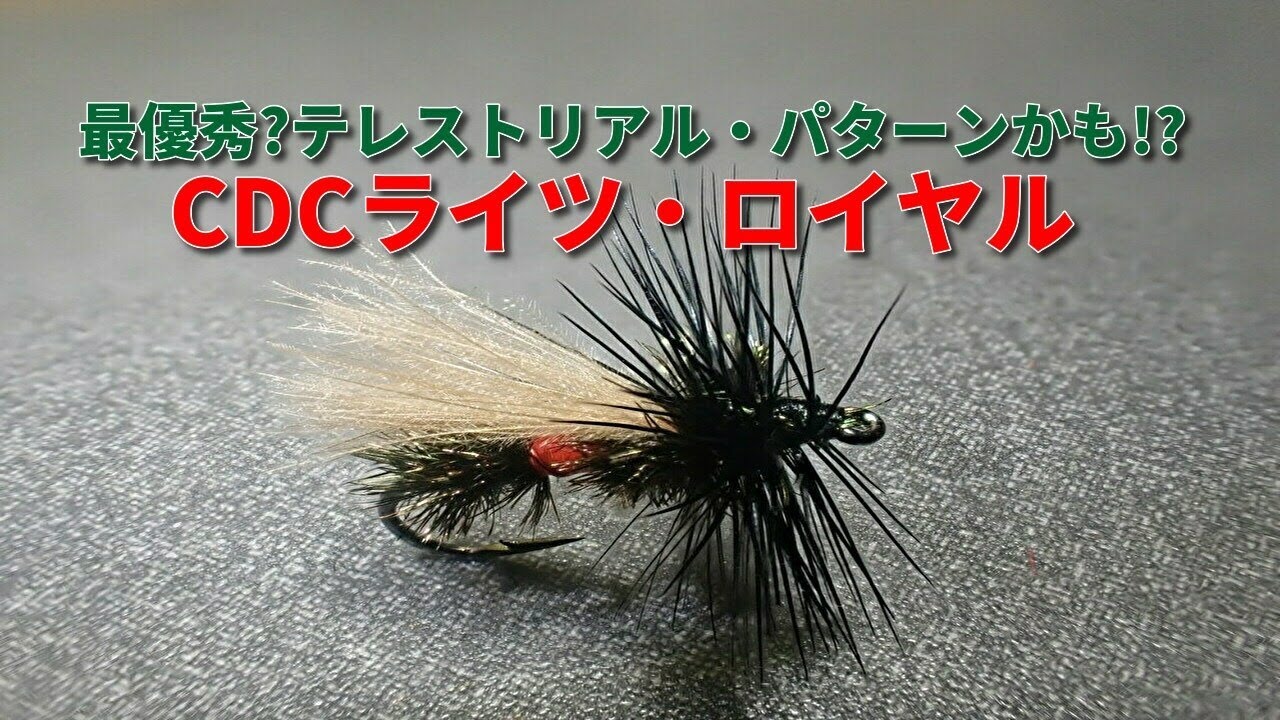 ライツ・ロイヤル　最優秀テレストリアル・パターンかも!?