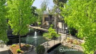 Edgewater Apartments in Citrus Heights, CA-ForRent.com